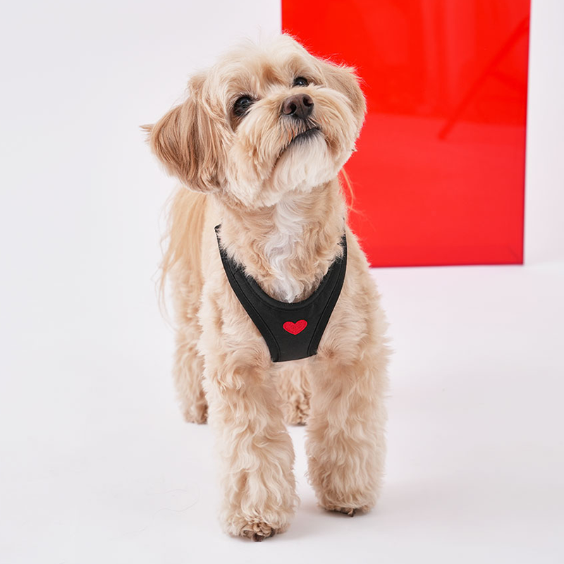 Weatherproof Heart Harness - moki+