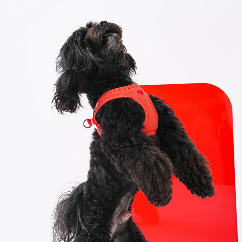 Weatherproof Heart Harness - moki+