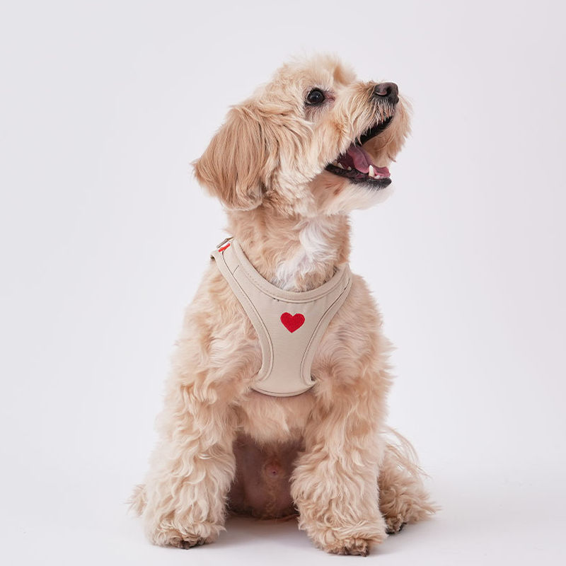 Weatherproof Heart Harness - moki+