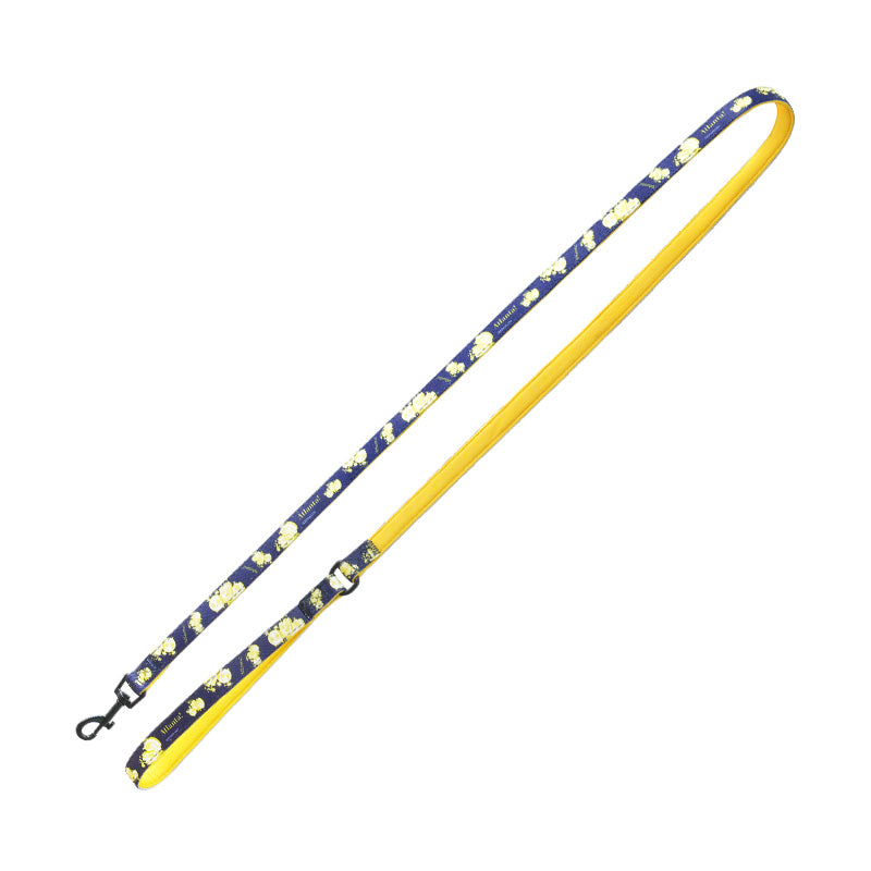 Atlanta Dog Leash - moki+