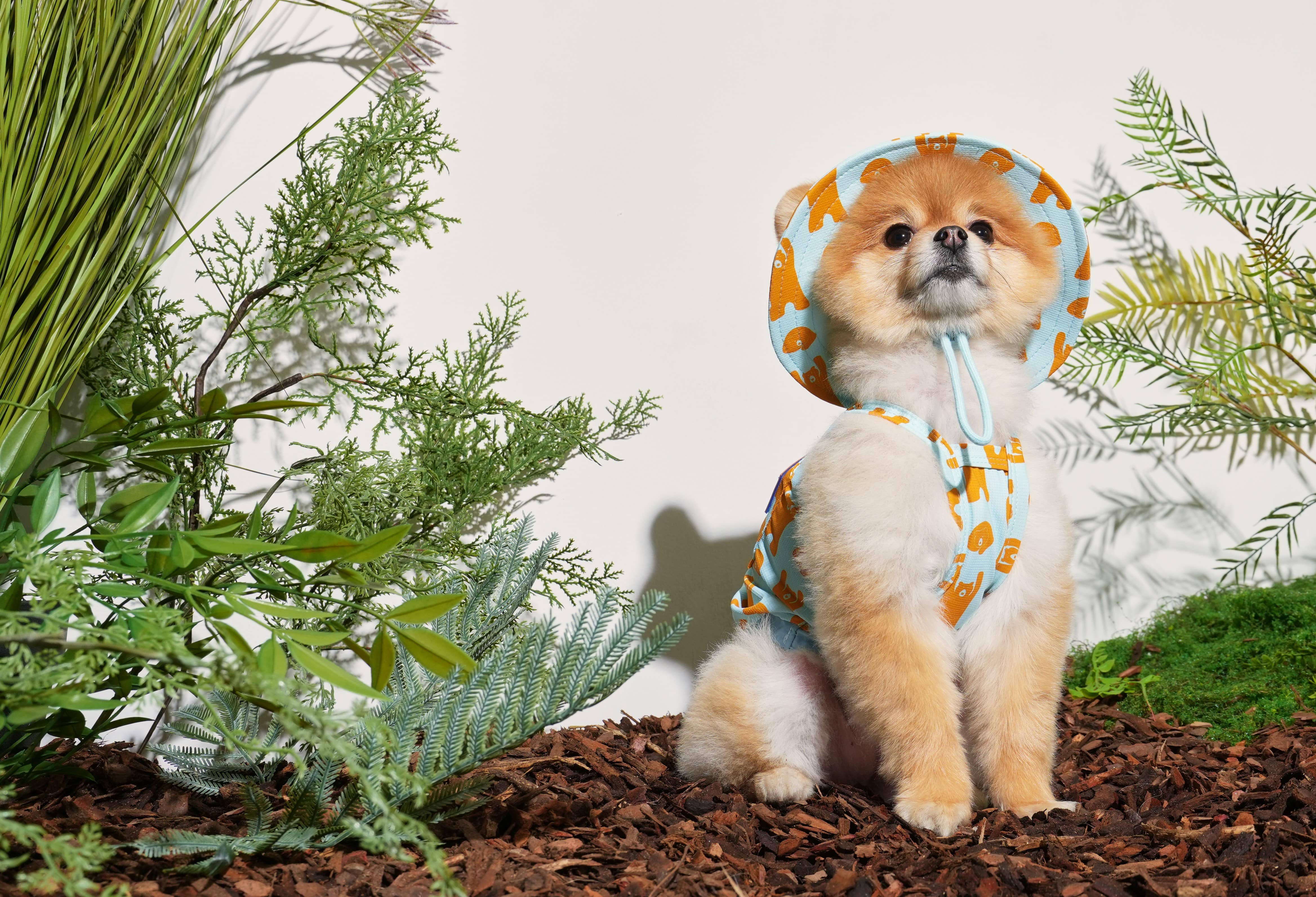 Pamper, Style, Repeat