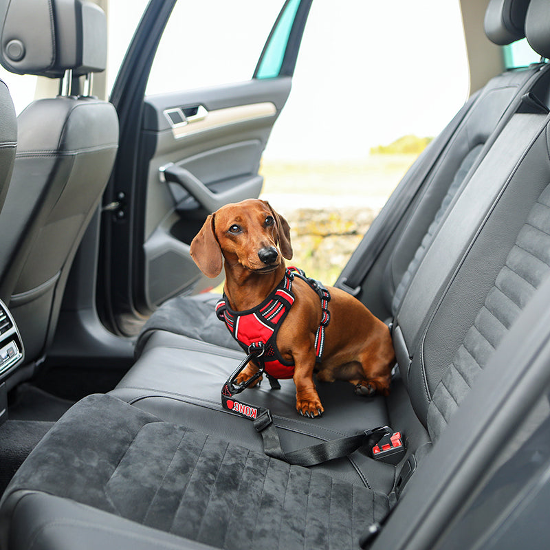 KONG Seat Belt Tether - moki+
