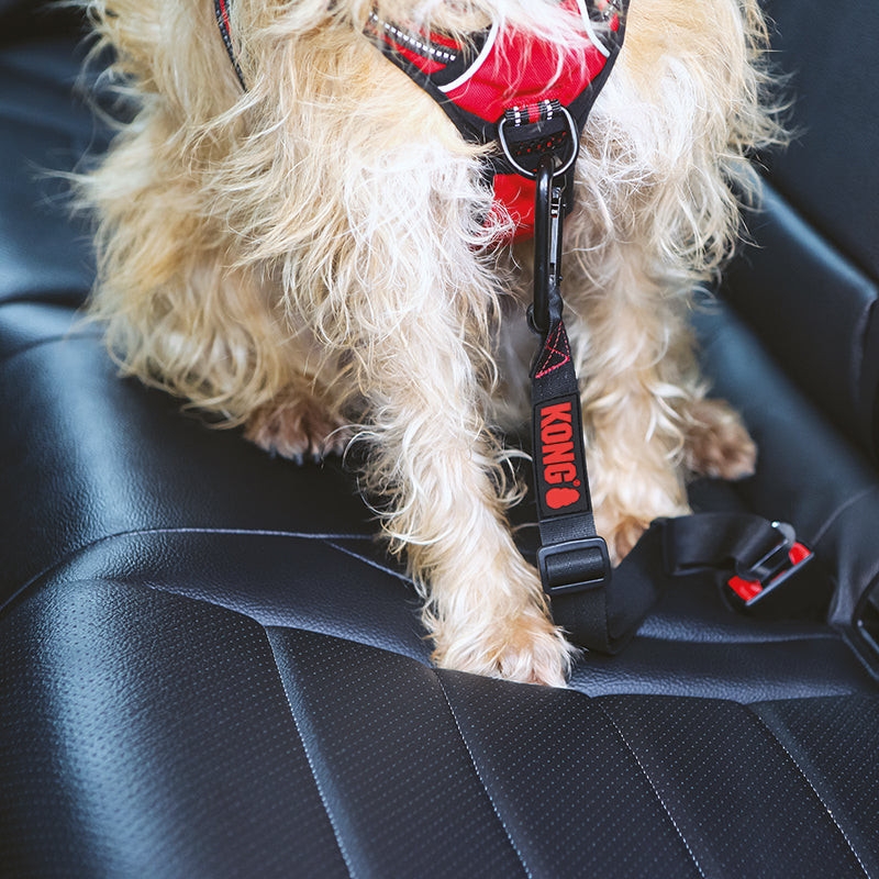 KONG Seat Belt Tether - moki+