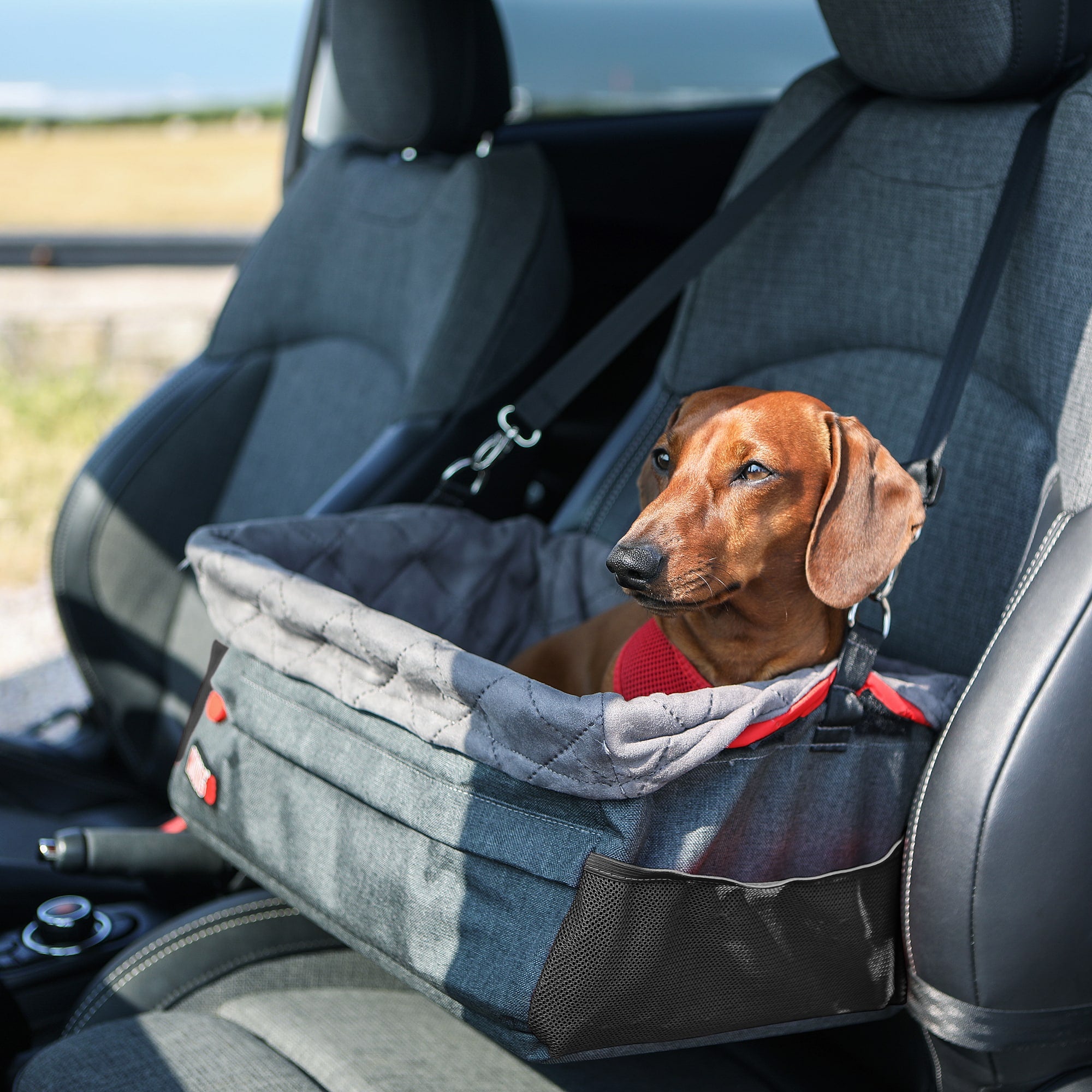 Journey Safe & Easy