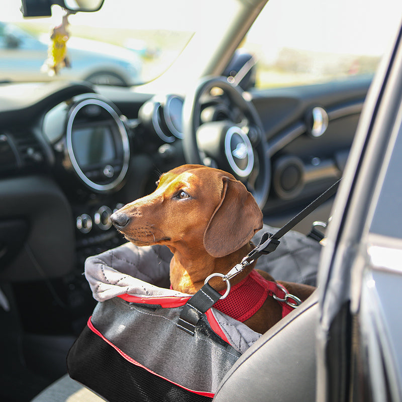 KONG Secure Booster Seat - moki+