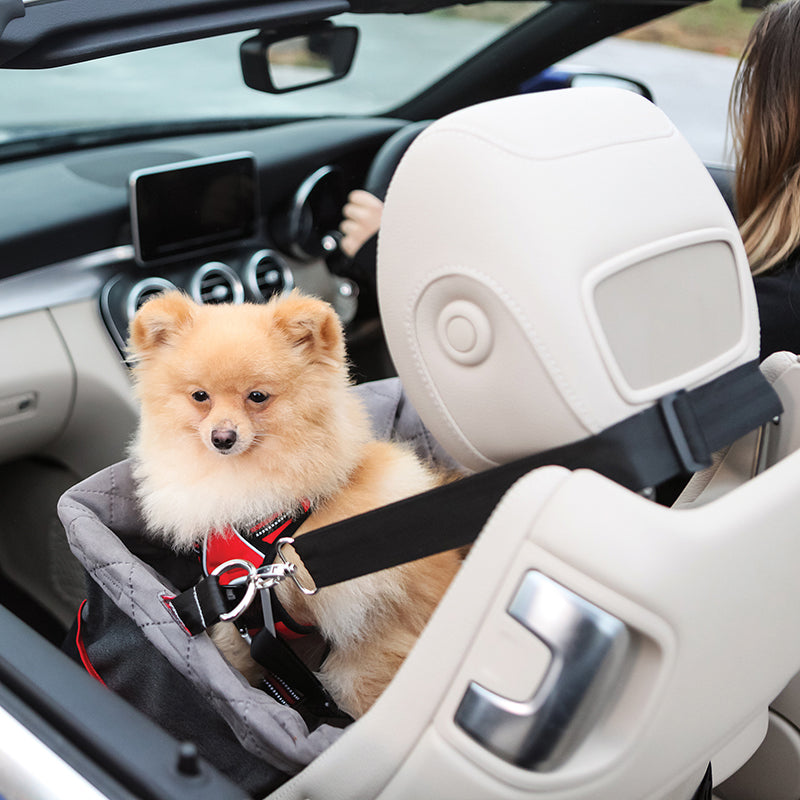 KONG Secure Booster Seat - moki+