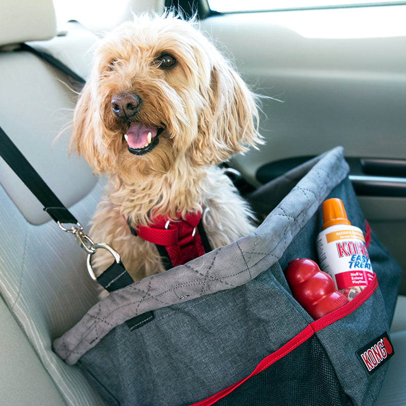 KONG Secure Booster Seat - moki+