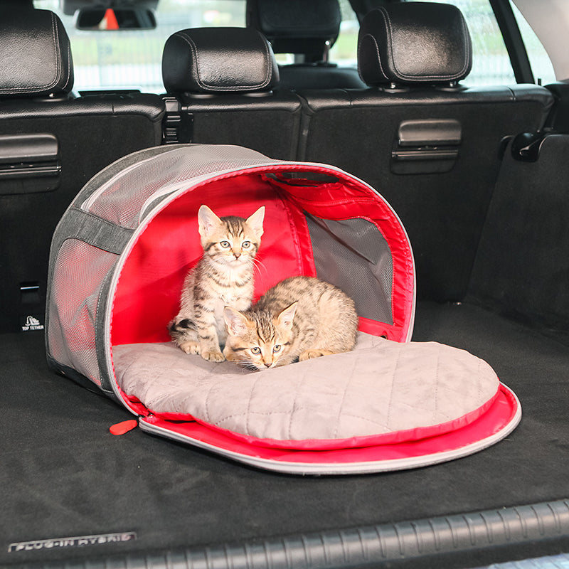 KONG 2-In-1 Pet Carrier & Travel Mat - moki+