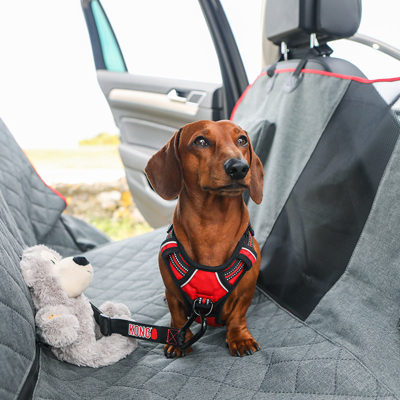 KONG 2-In-1 Bench Seat Cover & Hammock - moki+
