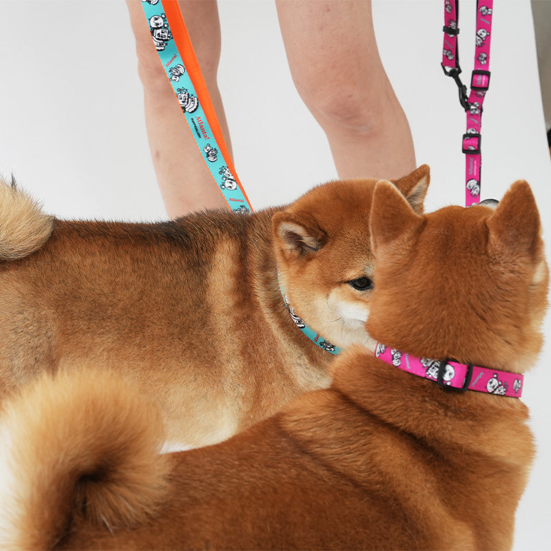 Atlanta Dog Leash - moki+