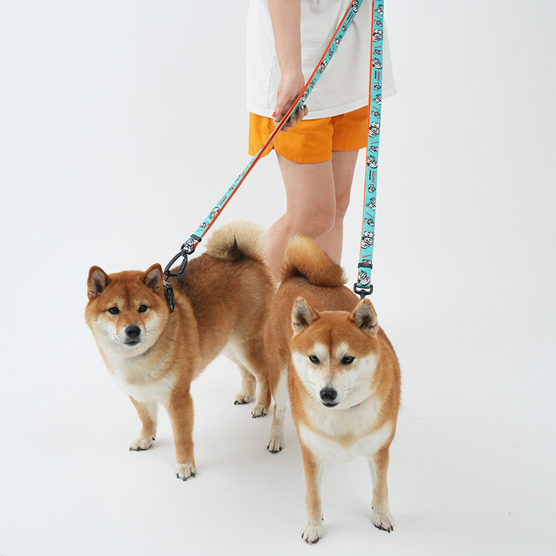 Atlanta Dog Leash - moki+
