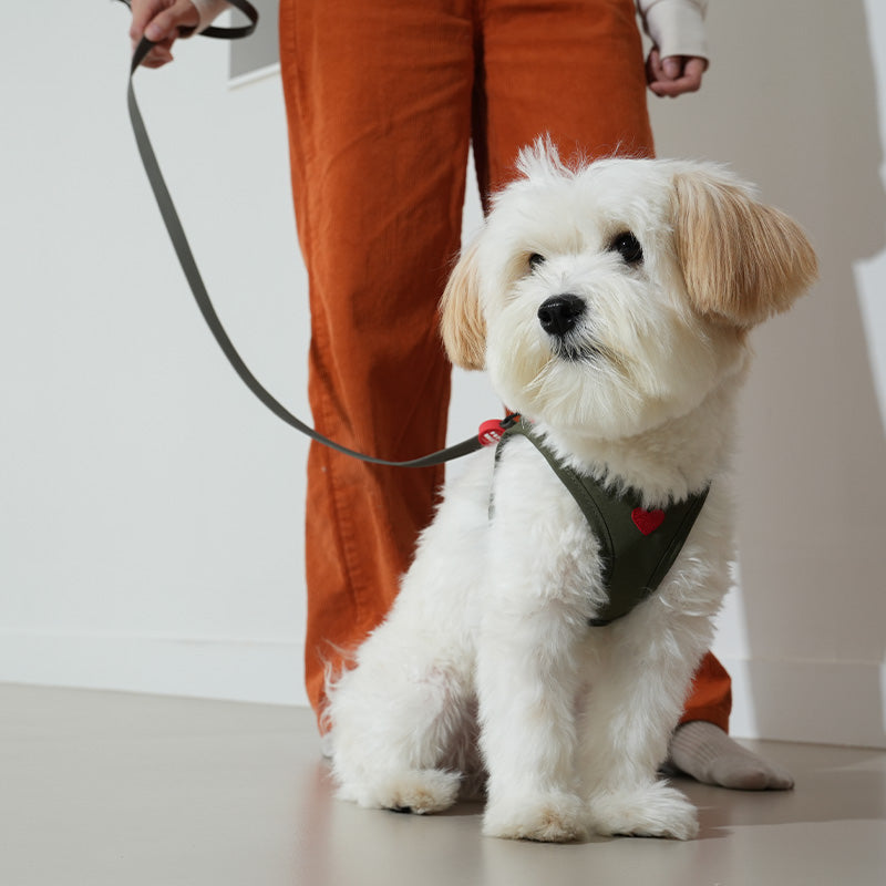 Weatherproof Heart Harness - moki+