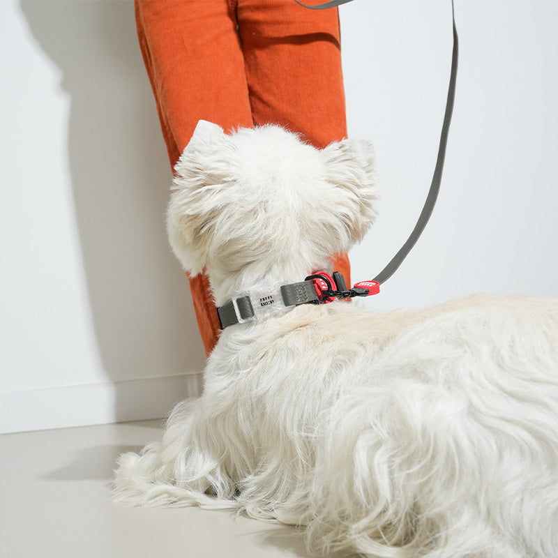 Weatherproof Leash - moki+