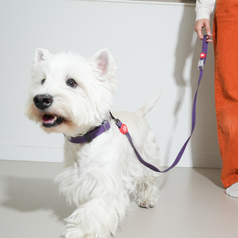 Weatherproof Dog Leash - moki+