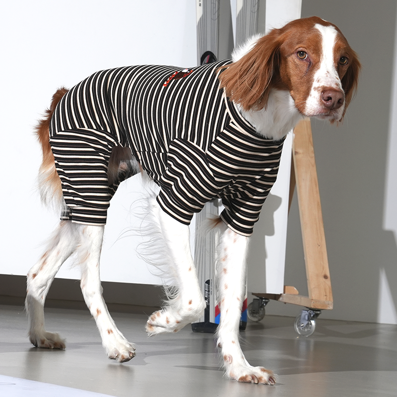 JamJam Stripe Jumpsuit - moki+