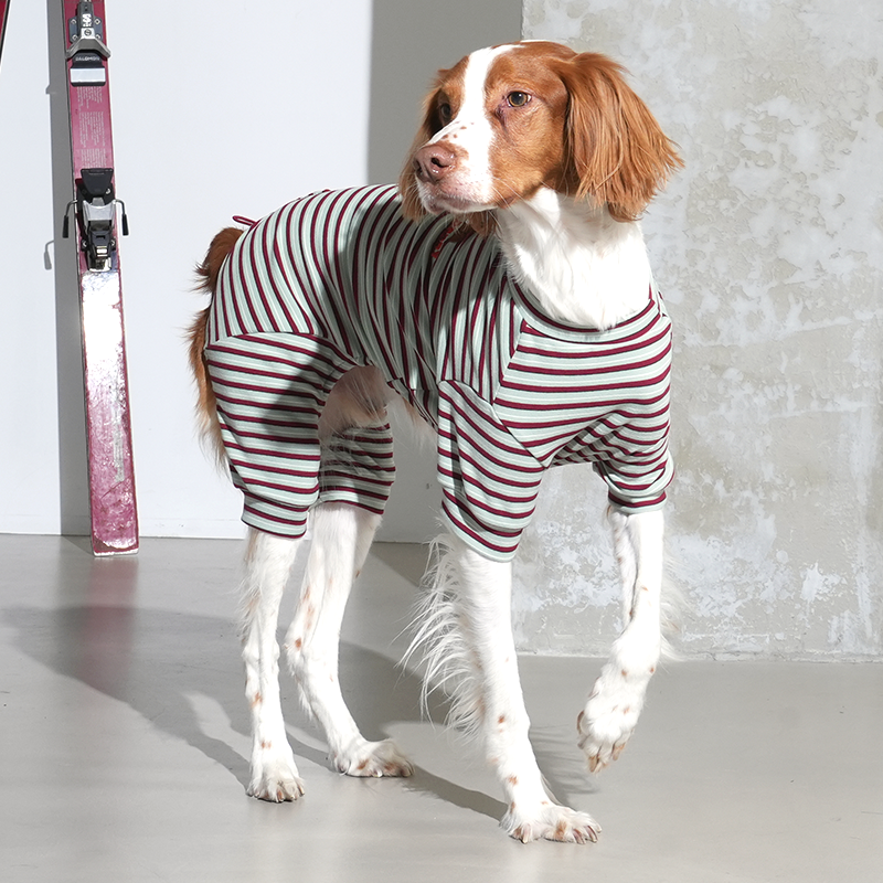 JamJam Stripe Jumpsuit - moki+