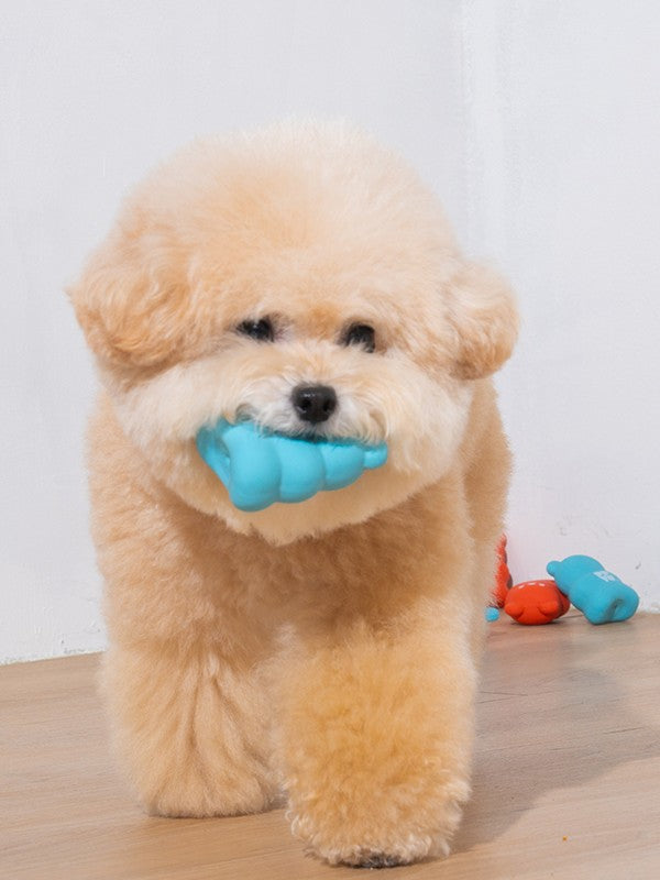 Bitsy Bear - Natural Latex Toy - moki+