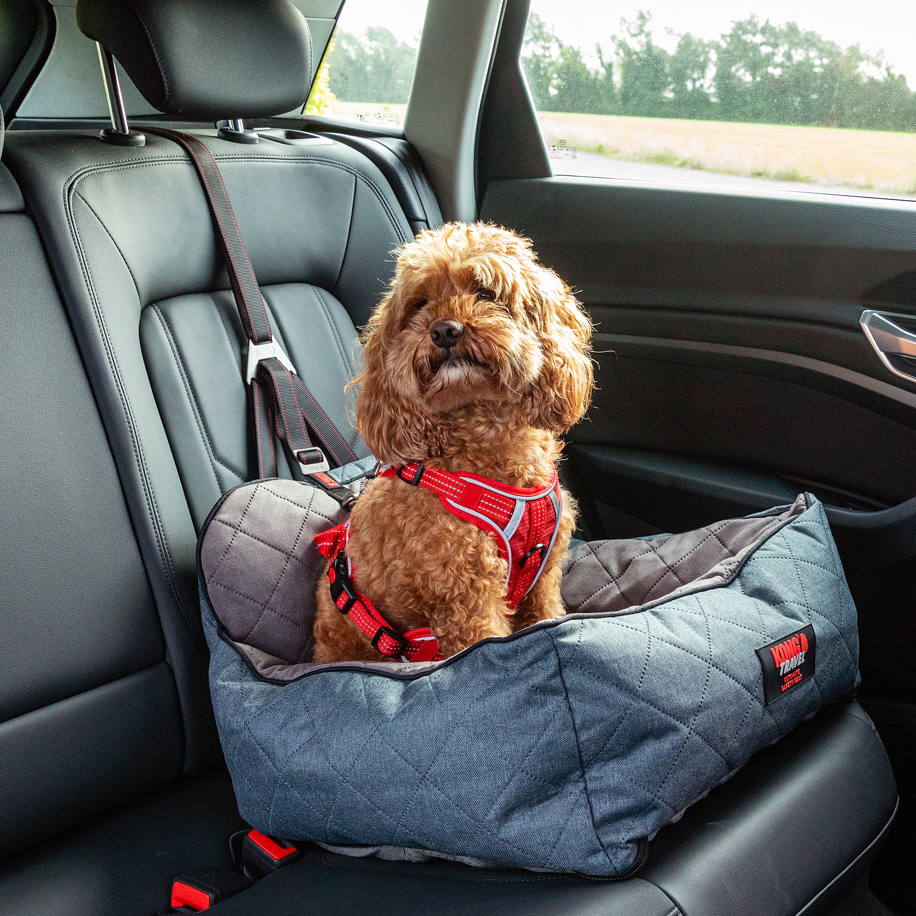 KONG Ultimate Safety Seat & Tether - moki+