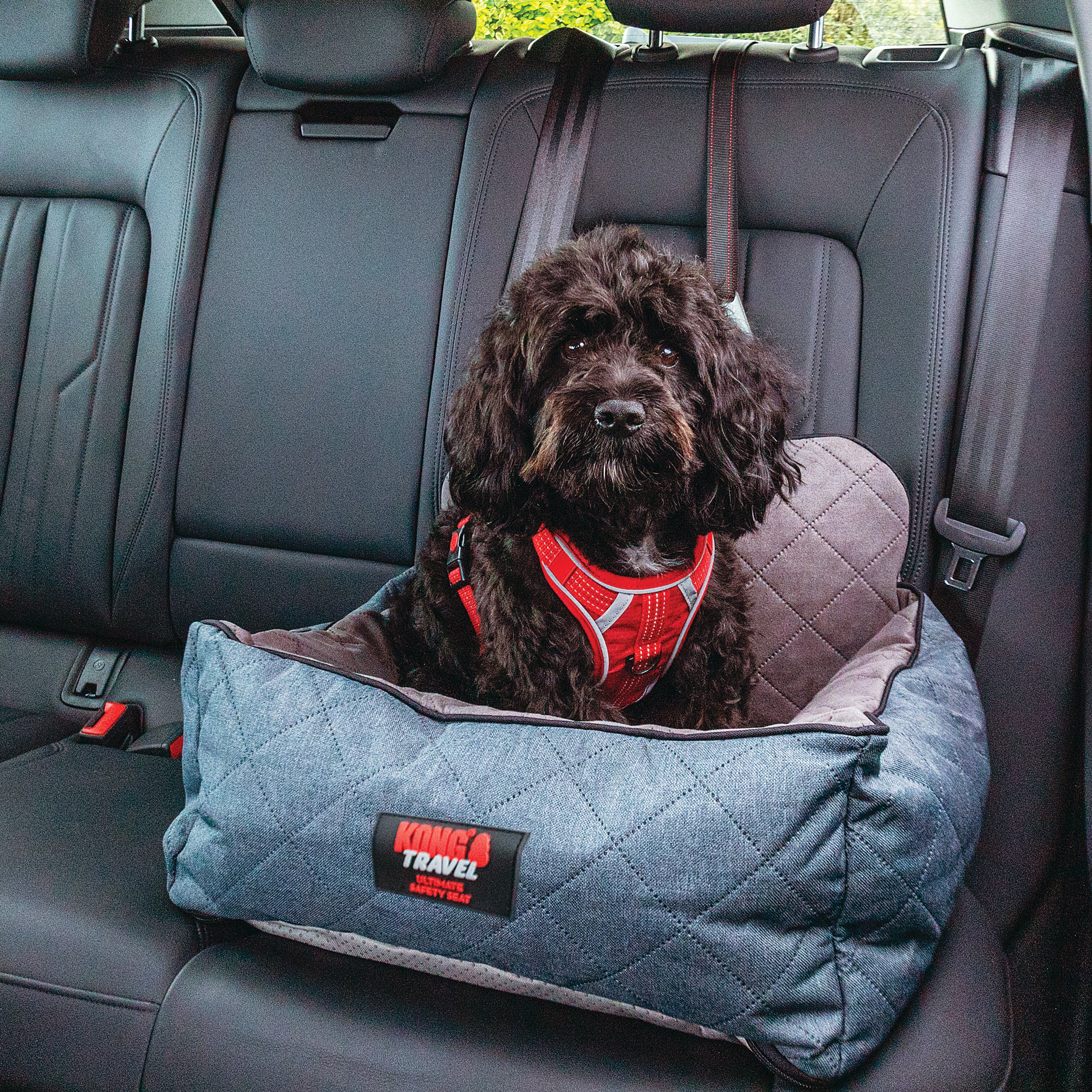 KONG Ultimate Safety Seat & Tether - moki+