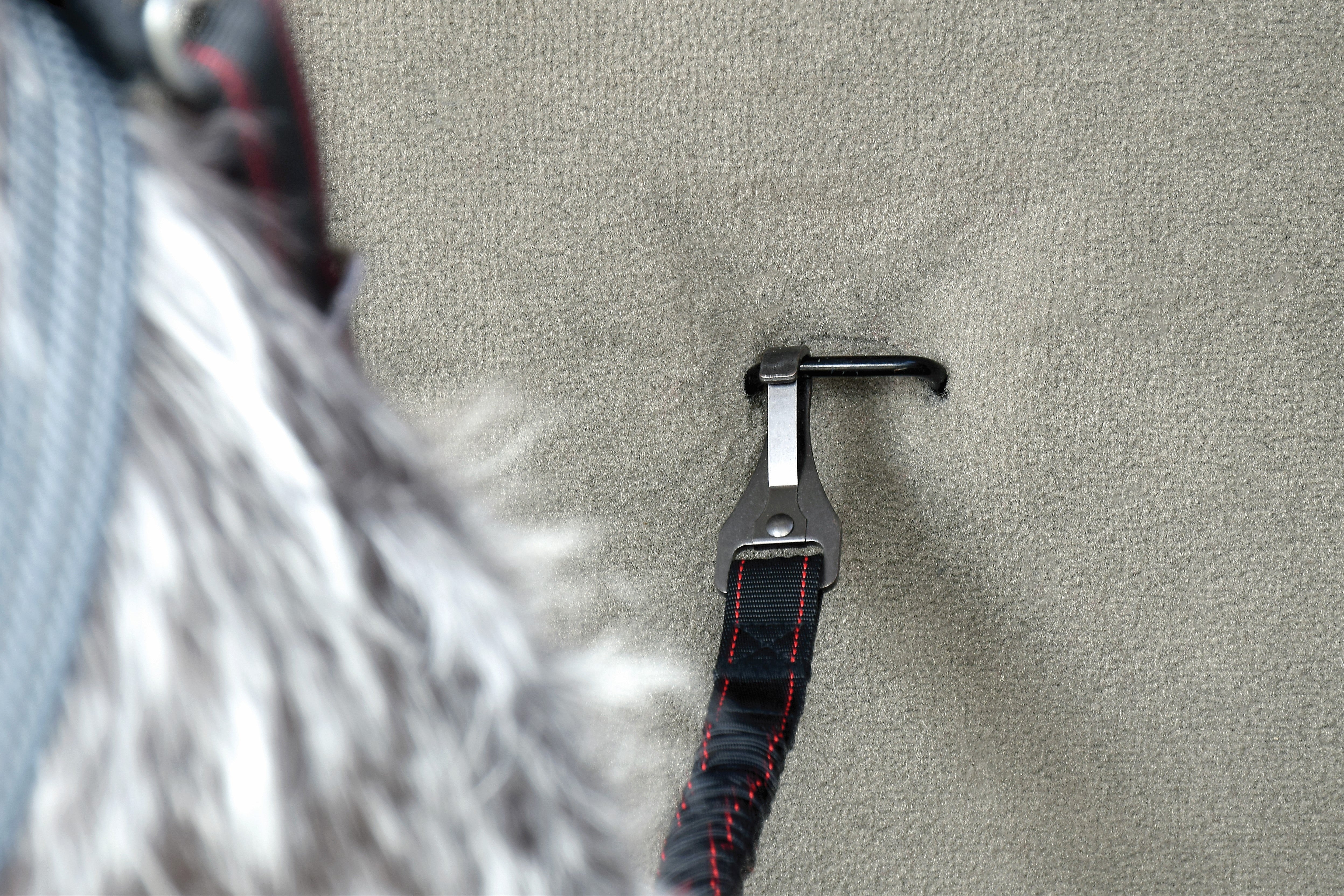 KONG Cargo Swivel Tether - moki+