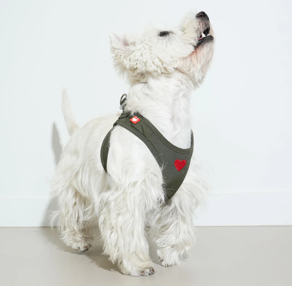 Weatherproof Heart Harness - moki+