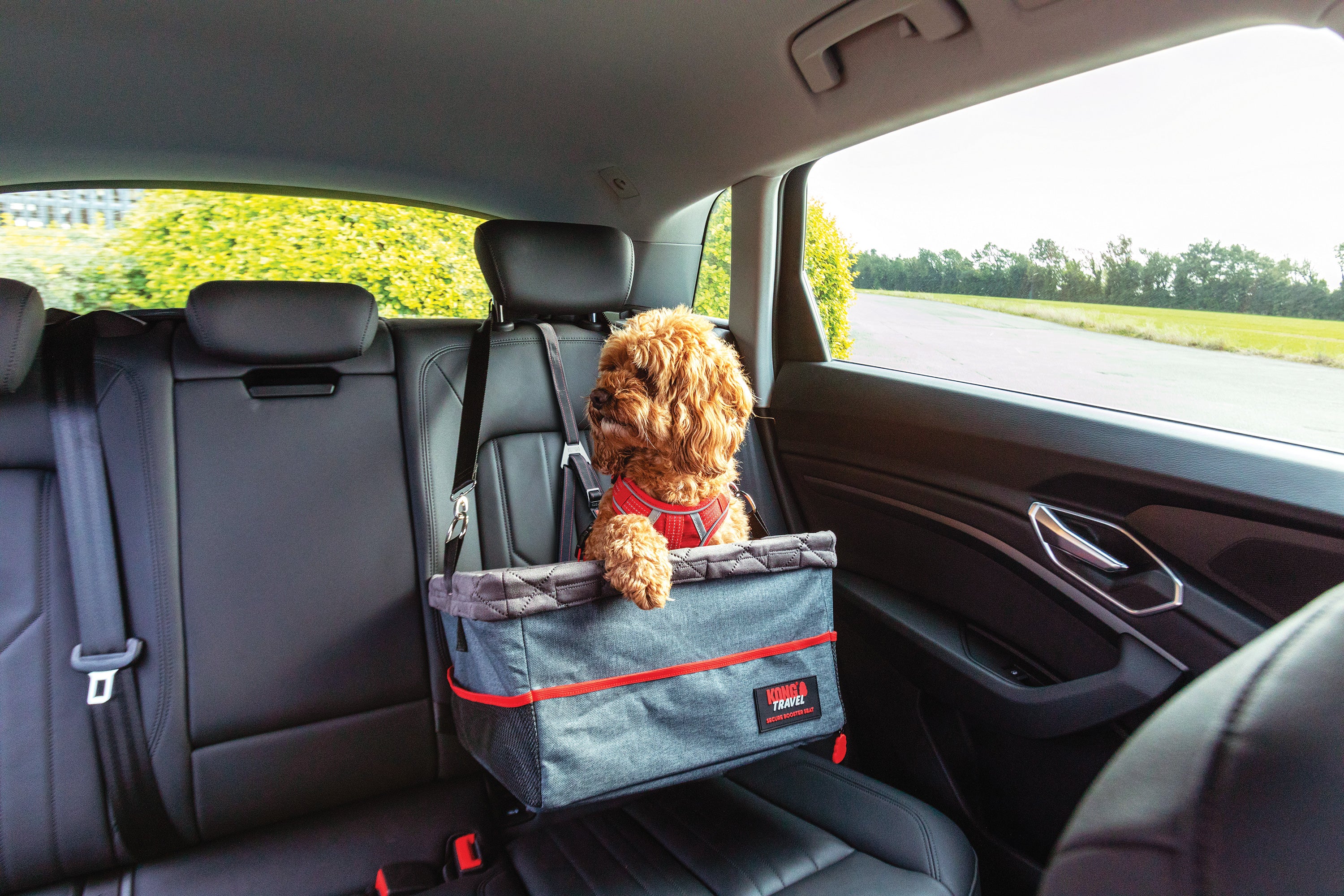 KONG Ultimate Booster Seat & Tether - moki+
