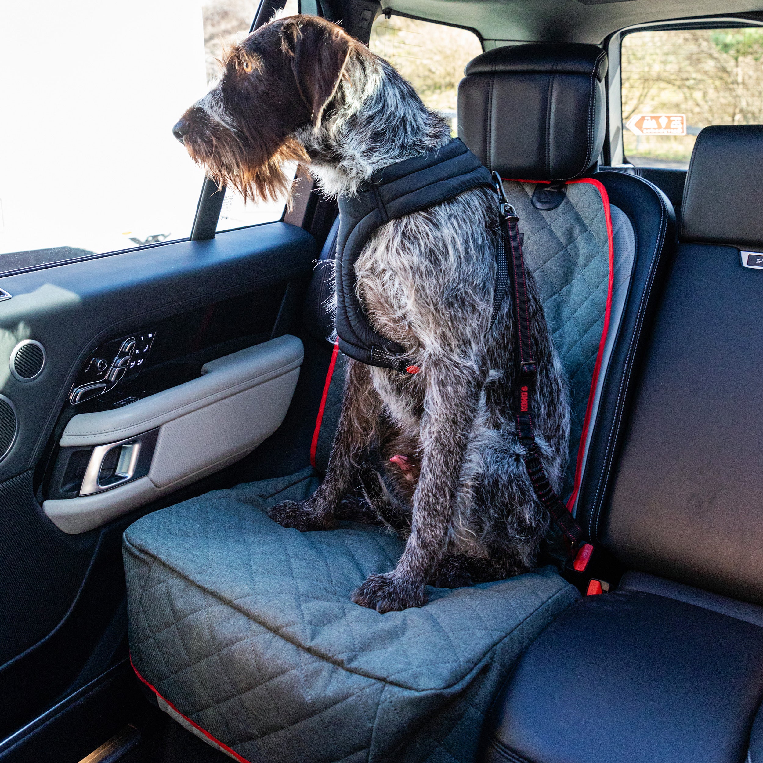 KONG Single Seat Cover - moki+