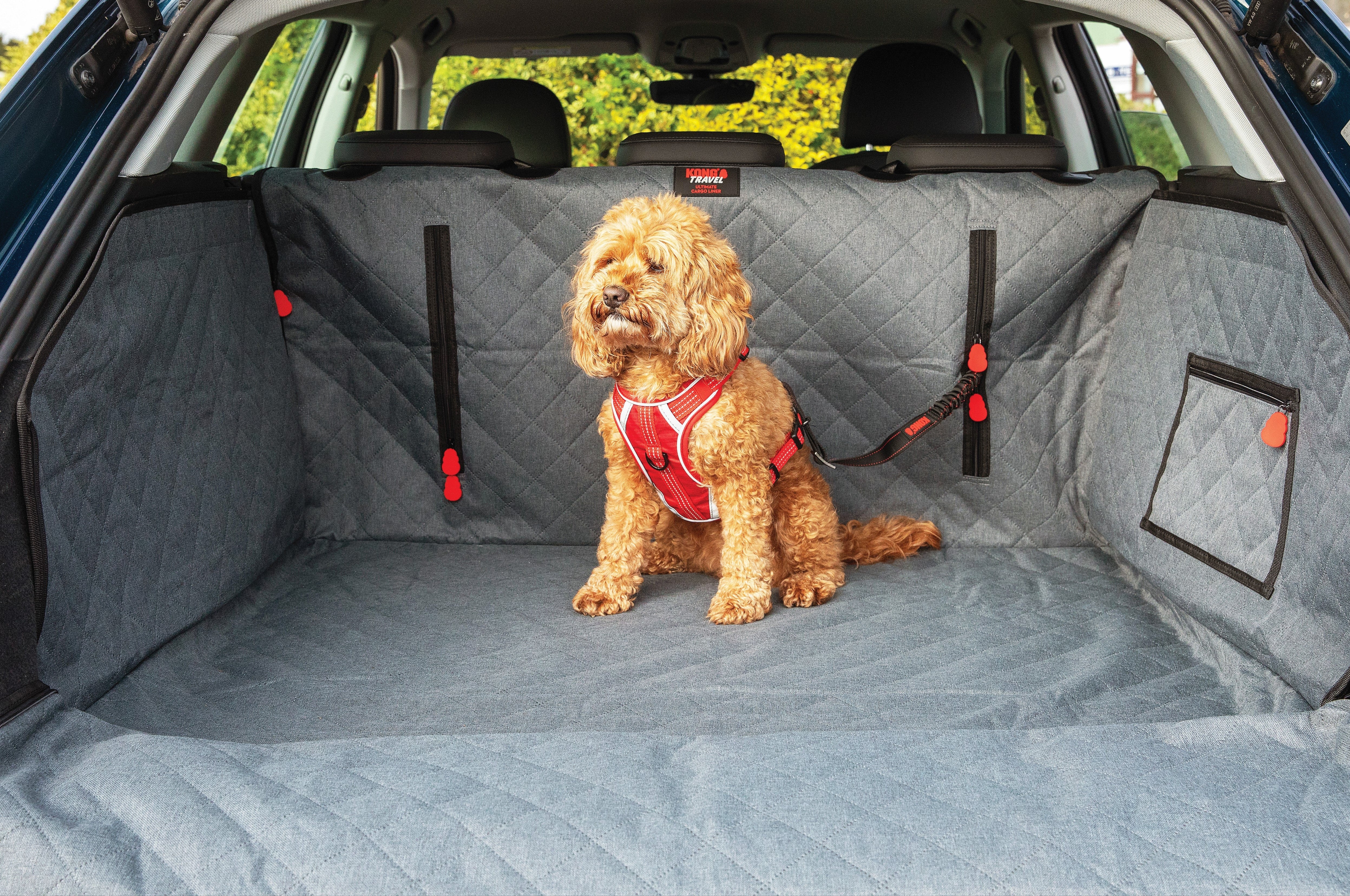 KONG Ultimate Cargo Liner & Tether - moki+