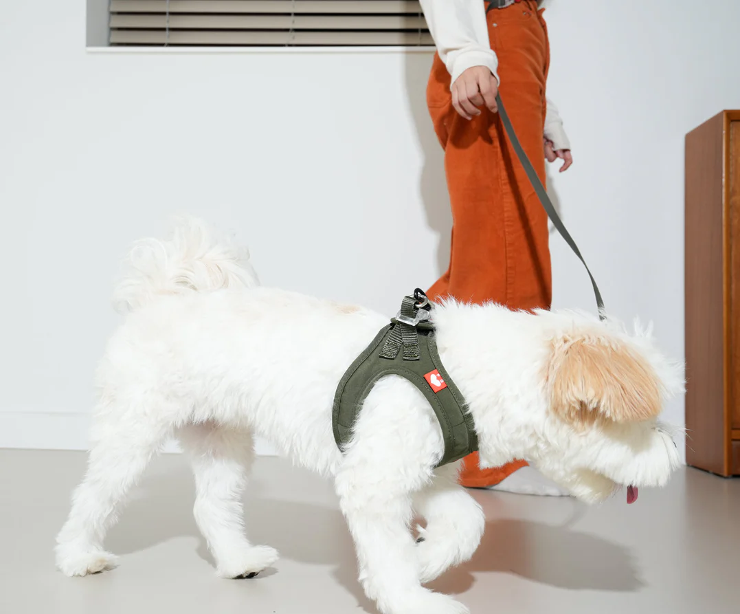 Weatherproof Heart Harness - moki+