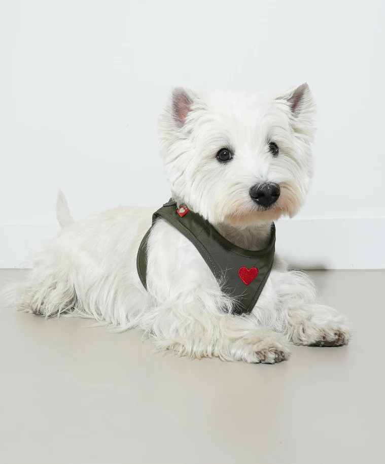Weatherproof Heart Harness - moki+