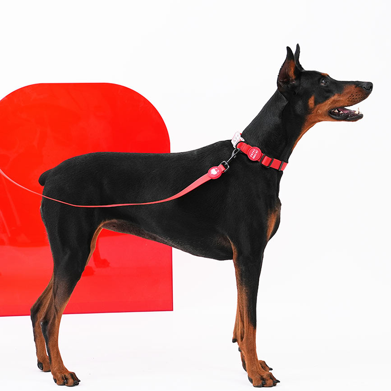 Weatherproof Heart Collar - moki+