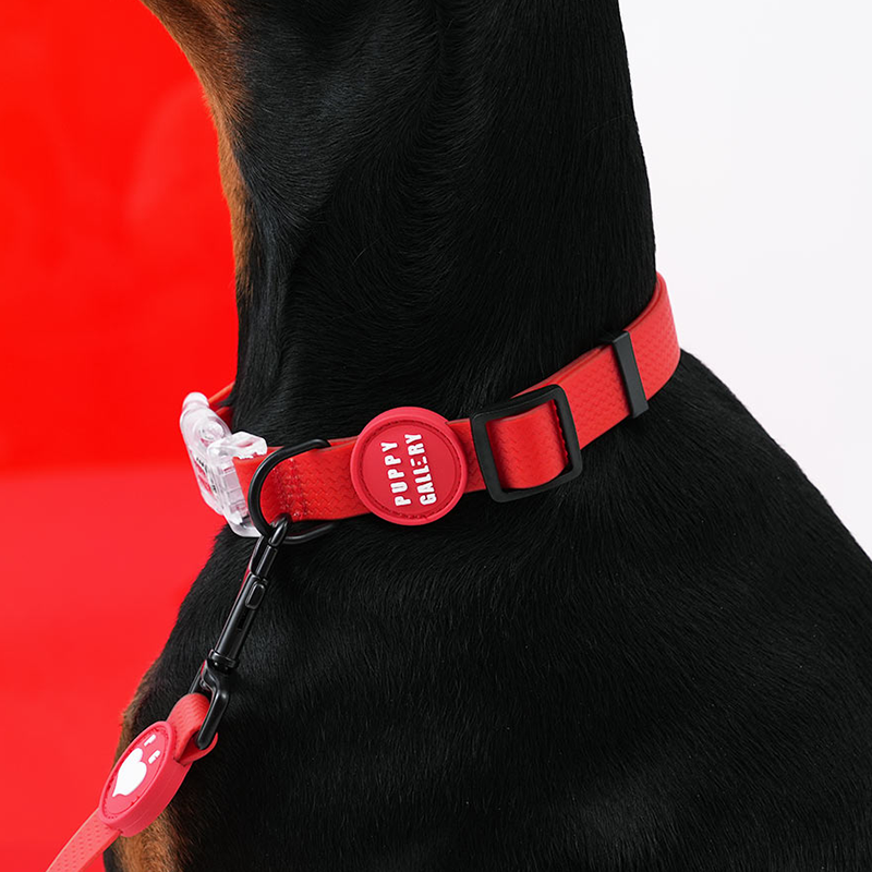 Weatherproof Heart Collar - moki+