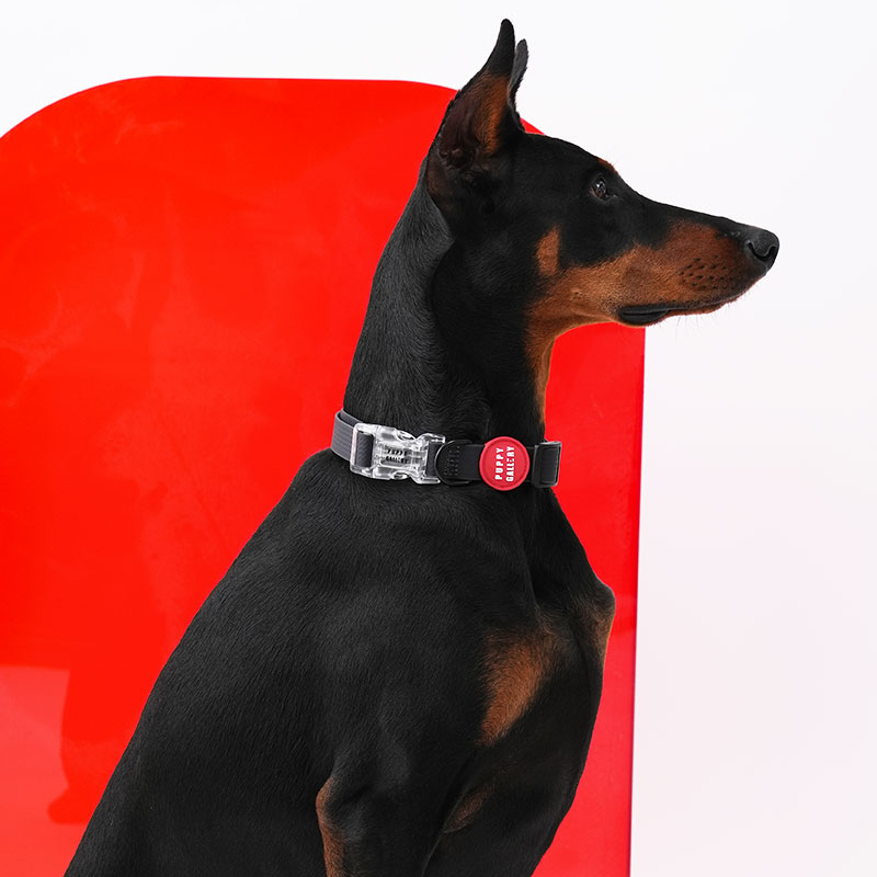 Weatherproof Heart Collar - moki+