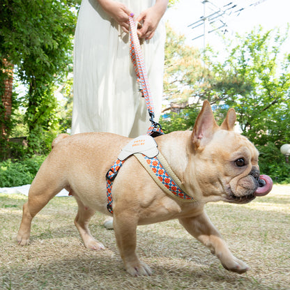 Atlanta Dog V Harness - moki+