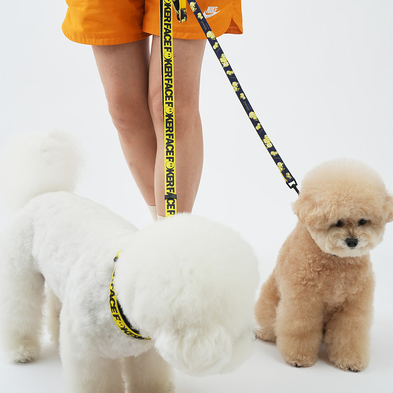 Poker Face Dog Leash - moki+