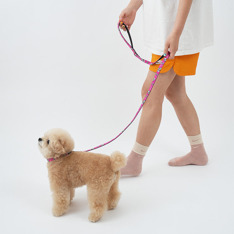 Atlanta Dog Leash - moki+