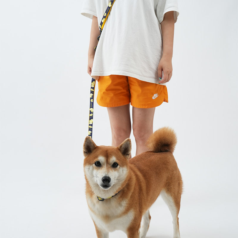 Atlanta Dog Leash - moki+