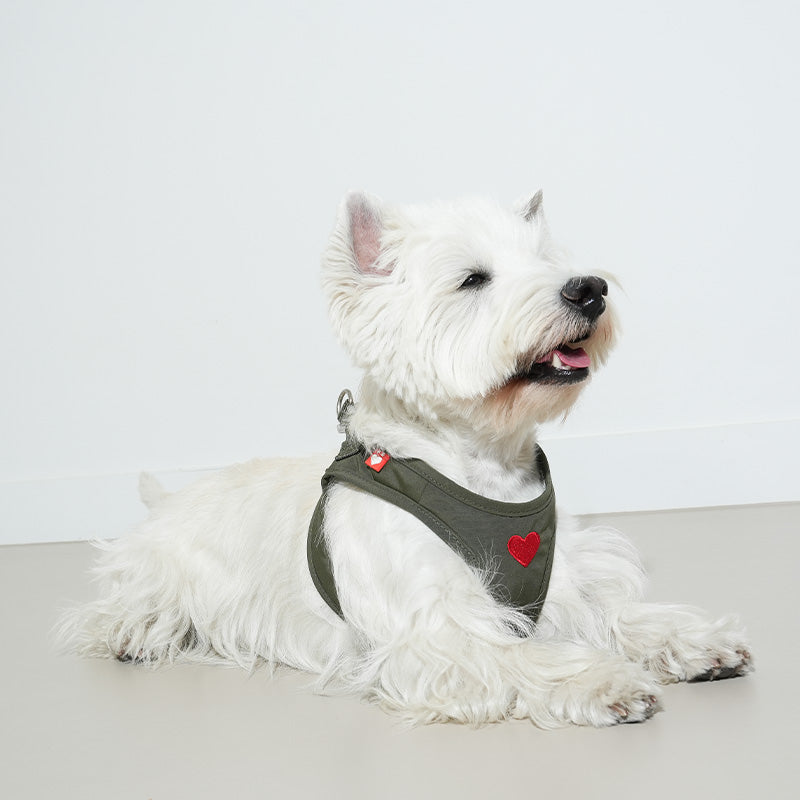 Weatherproof Heart Harness - moki+