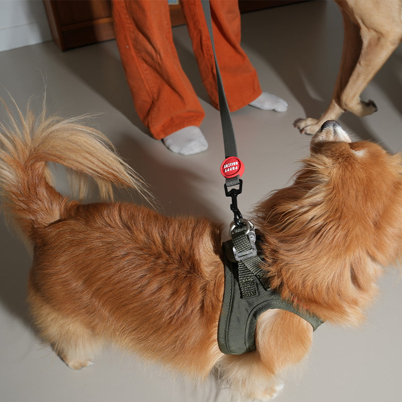 Weatherproof Dog Leash - moki+