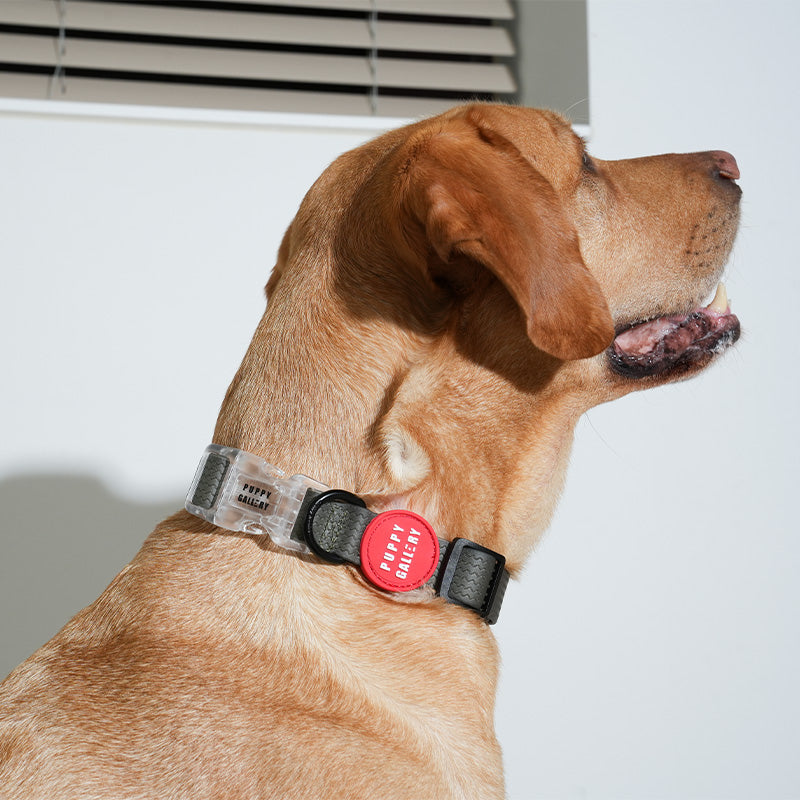 Weatherproof Heart Collar - moki+