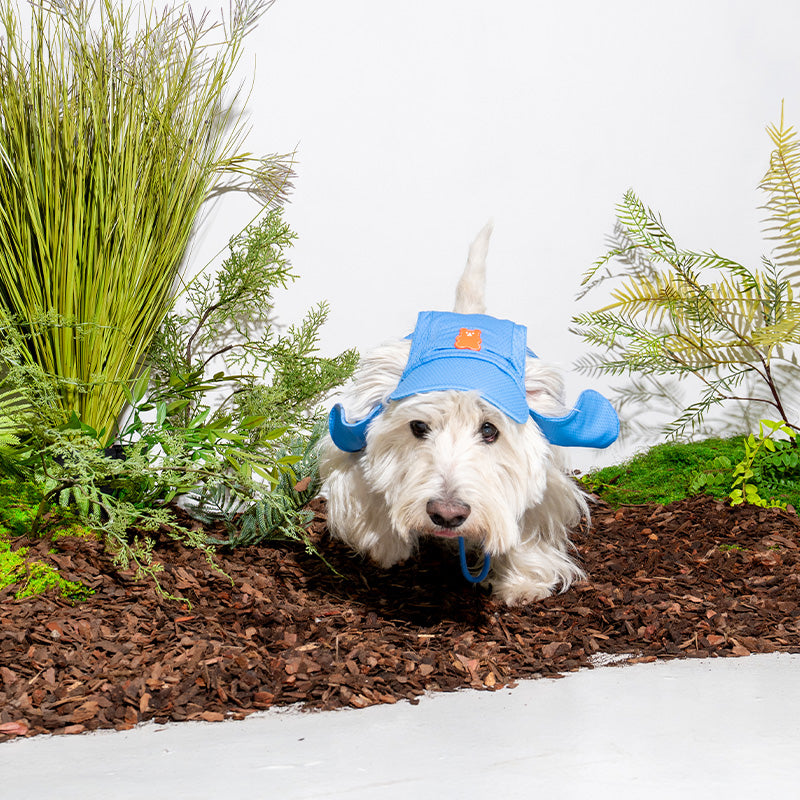 Jelly Bear Sun Hat - moki+