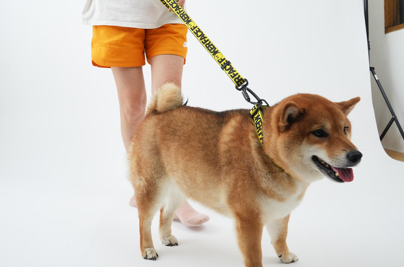 Poker Face Dog Leash - moki+